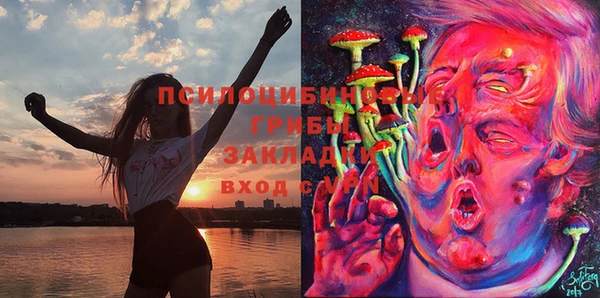 экстази Алексин