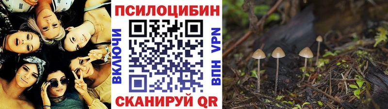 Галлюциногенные грибы прущие грибы  мега зеркало  Урюпинск 